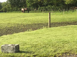 Pelsall 3 stables and grazing