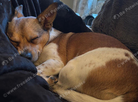 Cuddly little lad