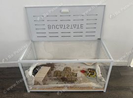 Hamster cages for sale