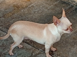 Tiny little girl