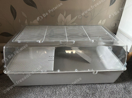 Hamster cage set up