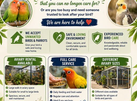 Wanted Unwanted Birds & Parrots &ndash; We Care & Rehome&rdquo;
