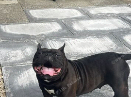 Rehome