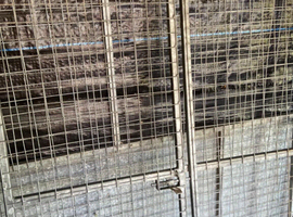 Galvanized gate 5ft by 6 ft