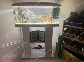 Fish tank and fish for sale