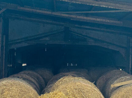 Round bales for sale