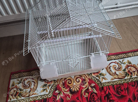 Budgie cage