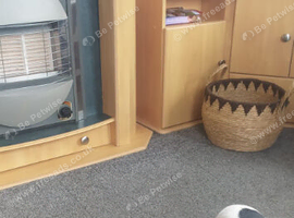 Female jack russell for sale