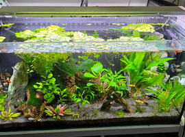 Superfish scaper 140L