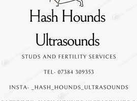 Ultrasounds, microchipping & mobile fertility services