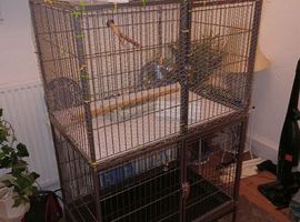 Parrot cage