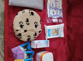 Newborn kitten bundle