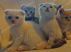 5 handsome boys in Bradford