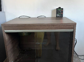 2ft Viv