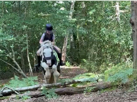 Teen loan for my lovely cob