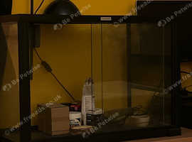 Good size Vivarium with lighting and accessories