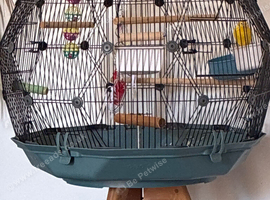 Canary & geo cage