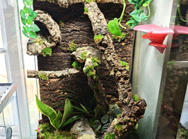 Exoterra terrarium 90 x 45 x 45 cm tall for arboreals