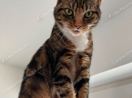 Rehome