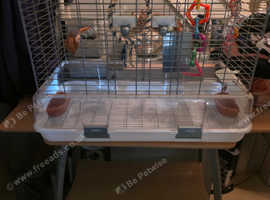 Vision birdcage and stand