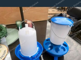 Poultry /bird feeders