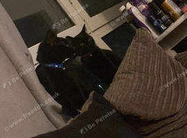 Two beautiful loving boys