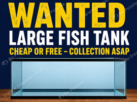 WANTED: Cheap Large Fish Tank