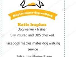 Maples mates-dog walking service