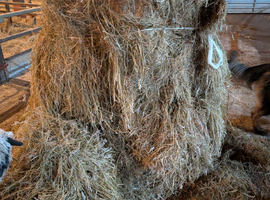 Big bale silage