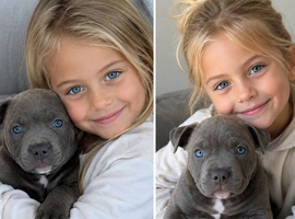 Staffy