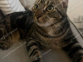 Looking to rehome