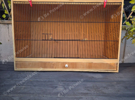 Young bugies with breeder cage