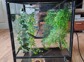 Reptile One 45x45x60cm terrarium