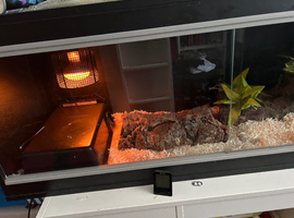 In Looking to buy  a 6 foot vivarium