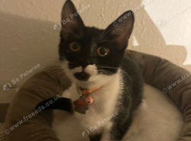Meila