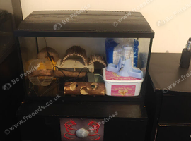 Tank for small rodent or fish