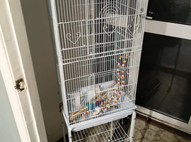Bird cage and stand