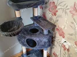 cat tree