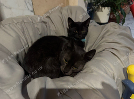 1 boy and 1 girl Russian black