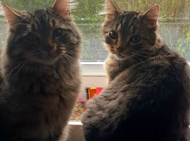 2 gorgeous loving boys