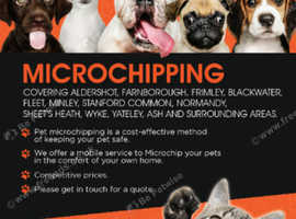 Mobile microchipping dog walks