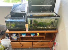 65L Fully Equipped Aquarium Setup - Ready to Go!