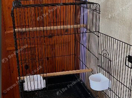 Small parrot cage