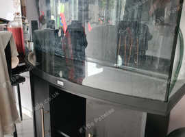 180 juvel fish tank