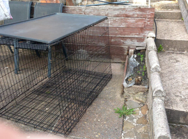 extra large used dog crate
