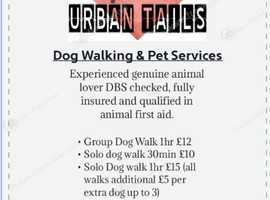 Dog walking and pet visits