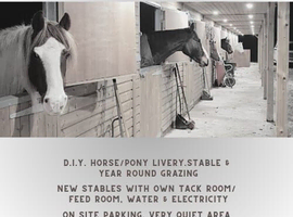 Horse Stables and grazing Land