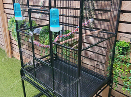 Large cage