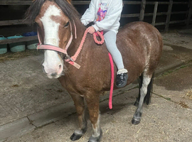 Alys first pony