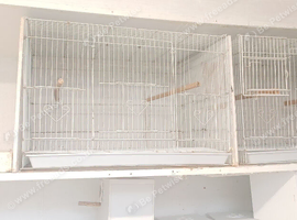 WaNTED wire cages